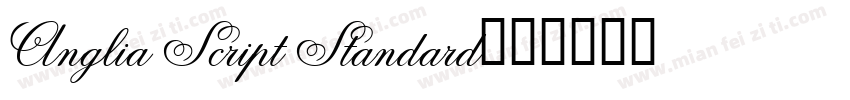 Anglia Script Standard字体转换